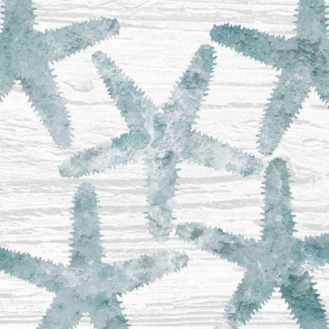 Coastal Star Cemented 2 White Modern Wood Framed Art Print by Lewis, Sheldon