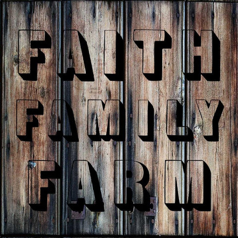 Faith Family Farm White Modern Wood Framed Art Print with Double Matting by Lewis, Sheldon