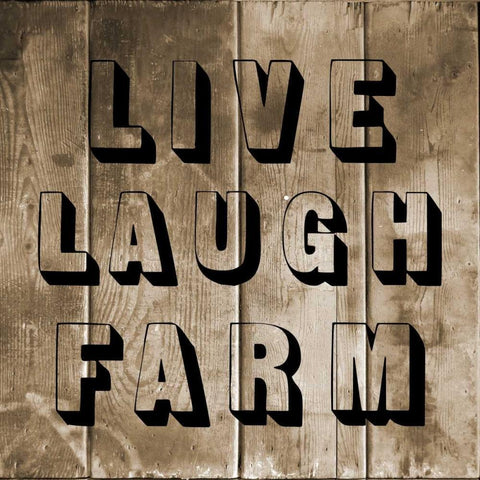 Live Laugh Farm White Modern Wood Framed Art Print by Lewis, Sheldon