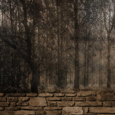 Stone Wall Landscape Black Modern Wood Framed Art Print by Lewis, Sheldon