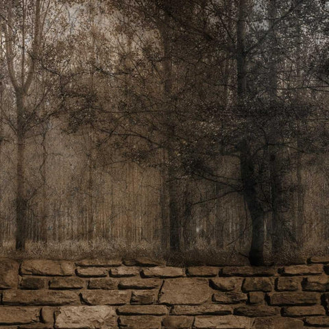 Stone Wall Landscape 2 Black Modern Wood Framed Art Print by Lewis, Sheldon