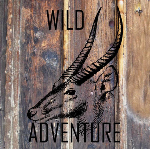 Wild Adventure Black Ornate Wood Framed Art Print with Double Matting by Lewis, Sheldon