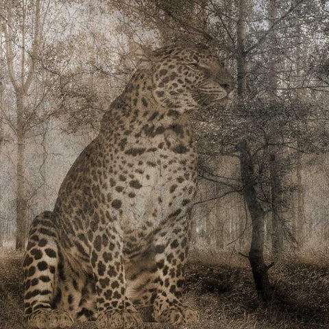 Wild Jungle 1 Gold Ornate Wood Framed Art Print with Double Matting by Lewis, Sheldon