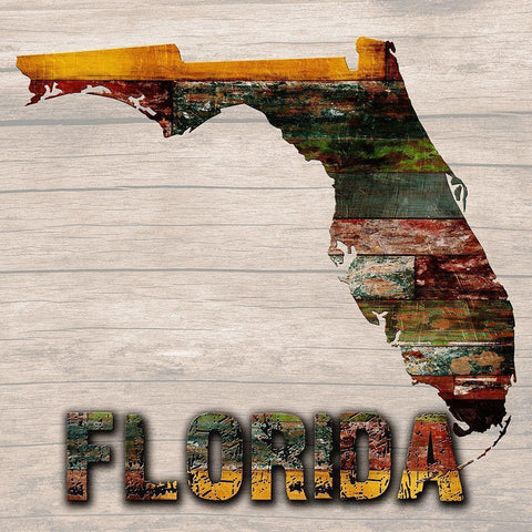 Florida Wooden Map Black Modern Wood Framed Art Print with Double Matting by Lewis, Sheldon