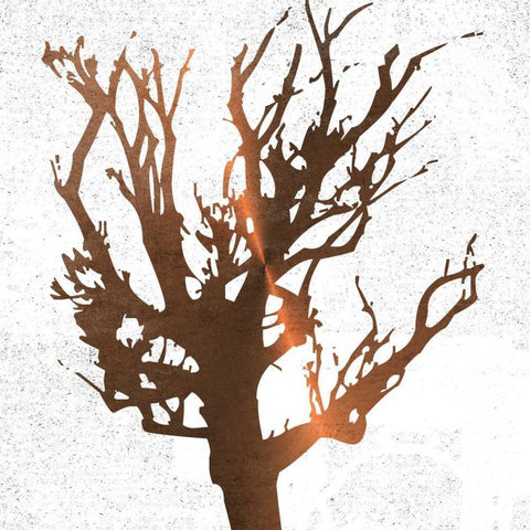 Tree of Wisdom 3 Black Modern Wood Framed Art Print with Double Matting by Lewis, Sheldon