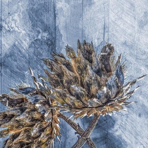 Coolnest Of Nature White Modern Wood Framed Art Print by Lewis, Sheldon