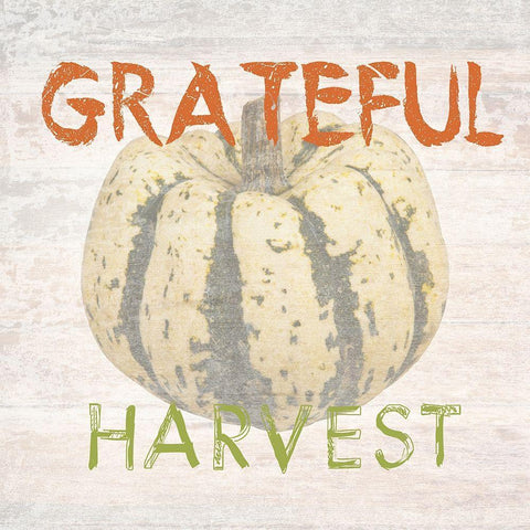 Harvest White Modern Wood Framed Art Print with Double Matting by Lewis, Sheldon