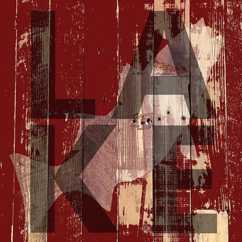 Bass Black Modern Wood Framed Art Print by Lewis, Sheldon