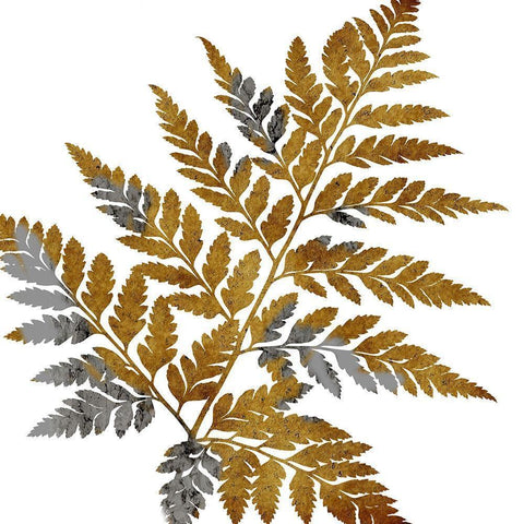 Gold Paint Black Modern Wood Framed Art Print with Double Matting by Lewis, Sheldon