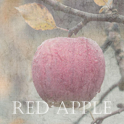 Apple White Modern Wood Framed Art Print by Lewis, Sheldon