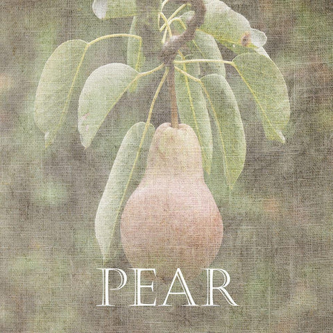 Pear Black Modern Wood Framed Art Print with Double Matting by Lewis, Sheldon