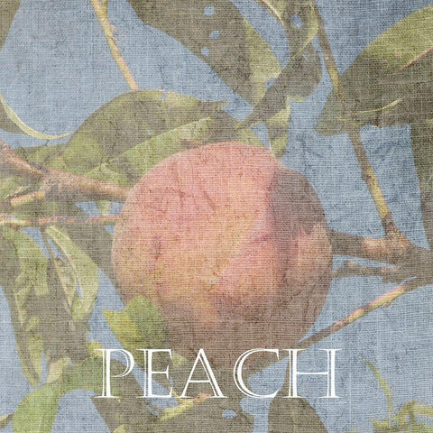 Peach Black Modern Wood Framed Art Print by Lewis, Sheldon