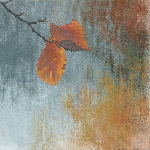 Pure Leaf 2 Black Modern Wood Framed Art Print by Lewis, Sheldon