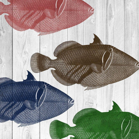Fishes White Modern Wood Framed Art Print with Double Matting by Lewis, Sheldon