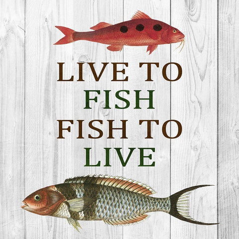 Live To Fish Black Modern Wood Framed Art Print with Double Matting by Lewis, Sheldon