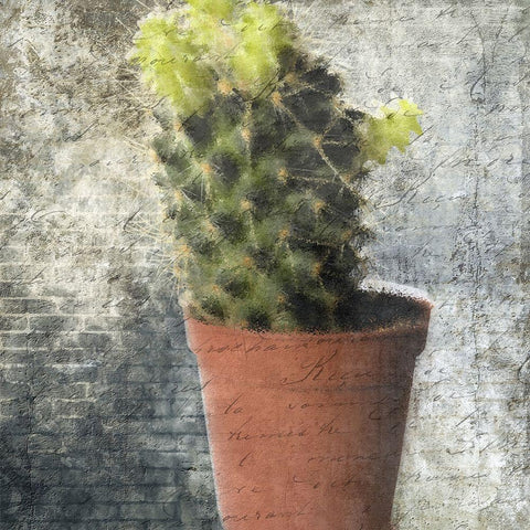 Planted Black Modern Wood Framed Art Print with Double Matting by Lewis, Sheldon