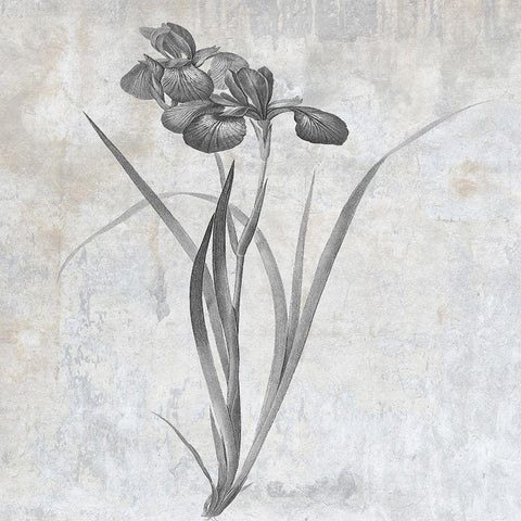 Grey Earth Balance 2 Black Ornate Wood Framed Art Print with Double Matting by Lewis, Sheldon