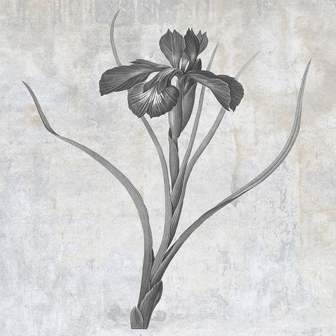 Grey Earth Balance 3 White Modern Wood Framed Art Print by Lewis, Sheldon