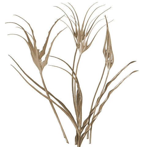 Earth Balance 1 Black Ornate Wood Framed Art Print with Double Matting by Lewis, Sheldon