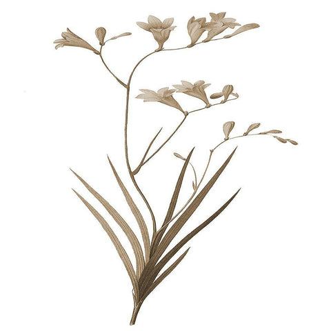 Earth Balance 4 Black Ornate Wood Framed Art Print with Double Matting by Lewis, Sheldon