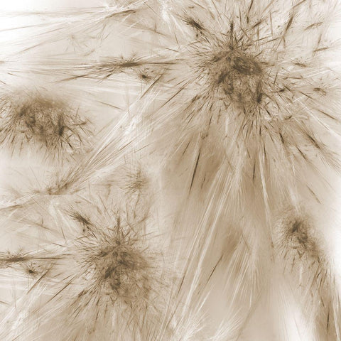 Twister White Modern Wood Framed Art Print by Lewis, Sheldon