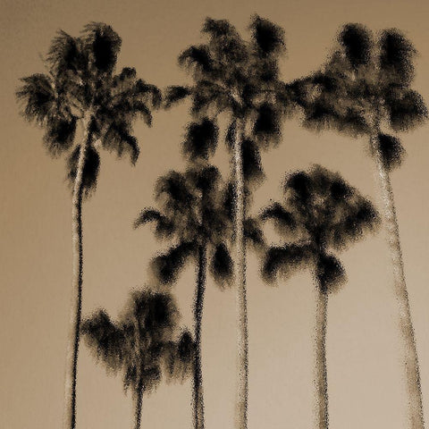 Palmona Grove Black Modern Wood Framed Art Print by Lewis, Sheldon