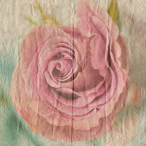 Vintage Rose Black Modern Wood Framed Art Print by Lewis, Sheldon
