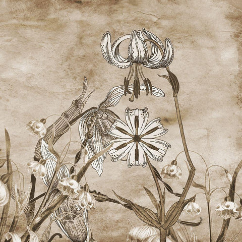 Earth Balance 2 Black Modern Wood Framed Art Print by Lewis, Sheldon