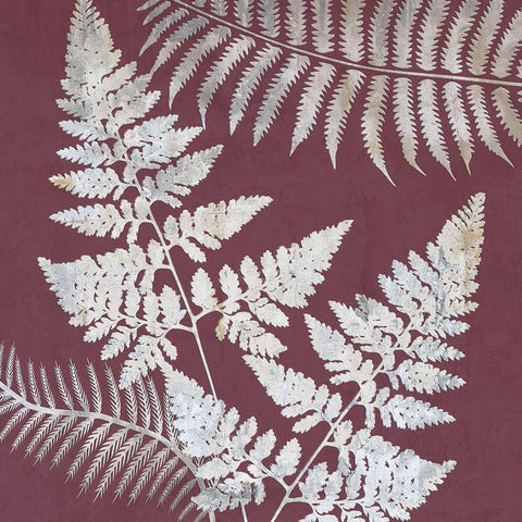 Fern Time 2 Black Ornate Wood Framed Art Print with Double Matting by Lewis, Sheldon