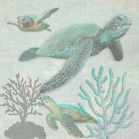 Turtles White Modern Wood Framed Art Print with Double Matting by Lewis, Sheldon