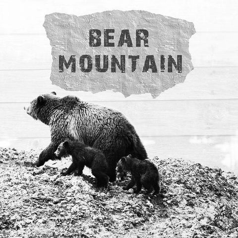 Bear Mountain White Modern Wood Framed Art Print with Double Matting by Lewis, Sheldon