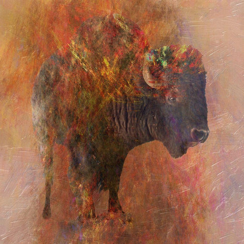 Stampede White Modern Wood Framed Art Print with Double Matting by Lewis, Sheldon