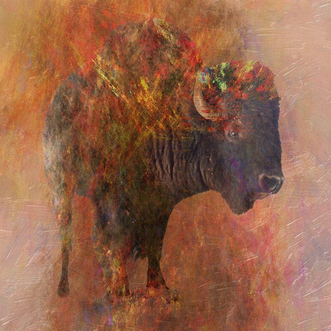 Stampede Black Modern Wood Framed Art Print by Lewis, Sheldon