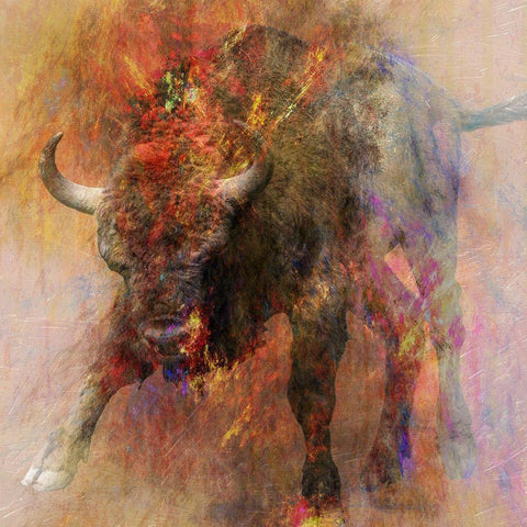 Stampede 2 White Modern Wood Framed Art Print with Double Matting by Lewis, Sheldon