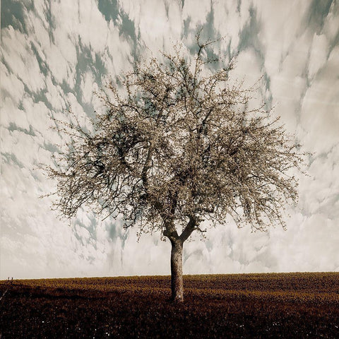 Evening Calm Black Ornate Wood Framed Art Print with Double Matting by Lewis, Sheldon