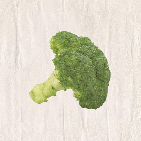 Broccoli White Modern Wood Framed Art Print by Lewis, Sheldon