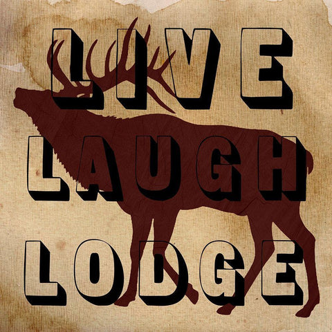 Live Laugh Lodge White Modern Wood Framed Art Print by Lewis, Sheldon