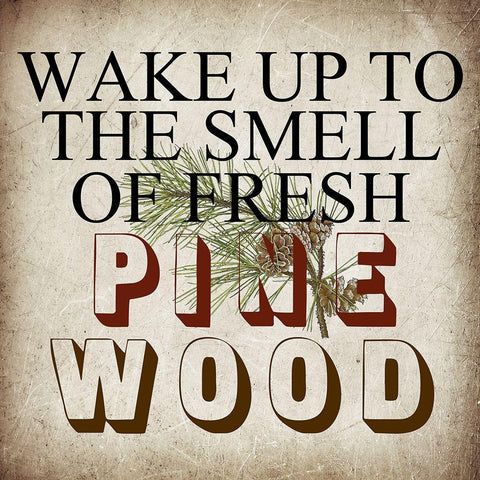 Pine Wood White Modern Wood Framed Art Print with Double Matting by Lewis, Sheldon