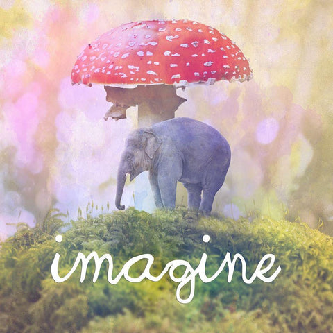Imagine White Modern Wood Framed Art Print with Double Matting by Lewis, Sheldon