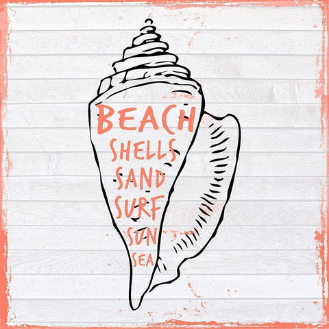 Conch White Modern Wood Framed Art Print by Lewis, Sheldon