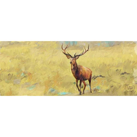 Beau Stag Gold Ornate Wood Framed Art Print with Double Matting by Butcher, Sarah