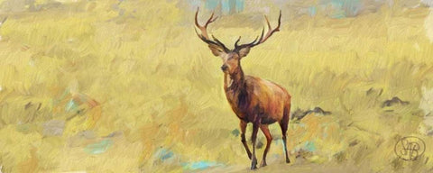 Beau Stag White Modern Wood Framed Art Print with Double Matting by Butcher, Sarah