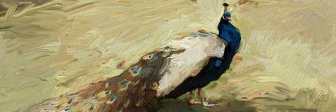 Peacock Panel 1 Black Ornate Wood Framed Art Print with Double Matting by Butcher, Sarah