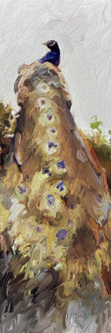 Peacock Panel 2 White Modern Wood Framed Art Print with Double Matting by Butcher, Sarah