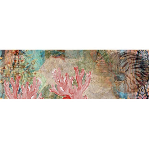 Mexican Shells Black Modern Wood Framed Art Print with Double Matting by Butcher, Sarah