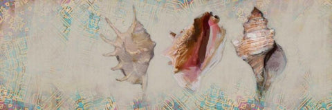 Shells Black Ornate Wood Framed Art Print with Double Matting by Butcher, Sarah