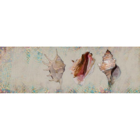 Shells Black Modern Wood Framed Art Print by Butcher, Sarah