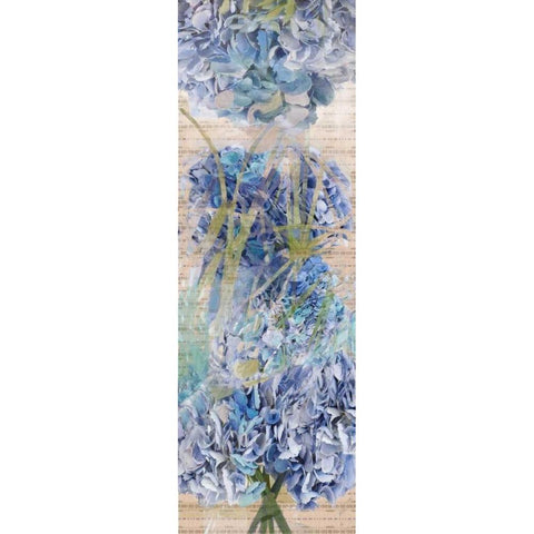 Hydragea 1 Gold Ornate Wood Framed Art Print with Double Matting by Butcher, Sarah