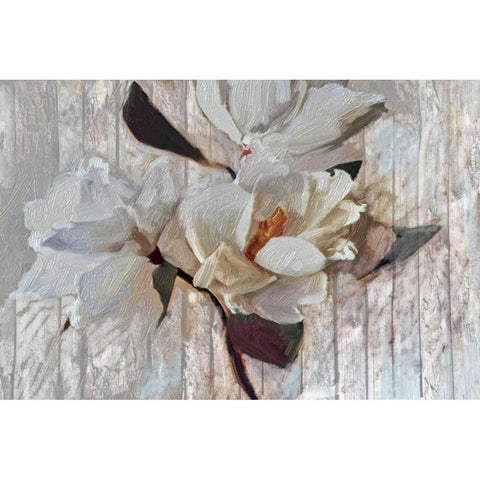 Magnolia1 White Modern Wood Framed Art Print by Butcher, Sarah