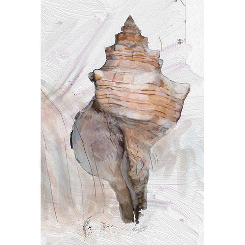 Geo Shell 2 Black Modern Wood Framed Art Print with Double Matting by Butcher, Sarah